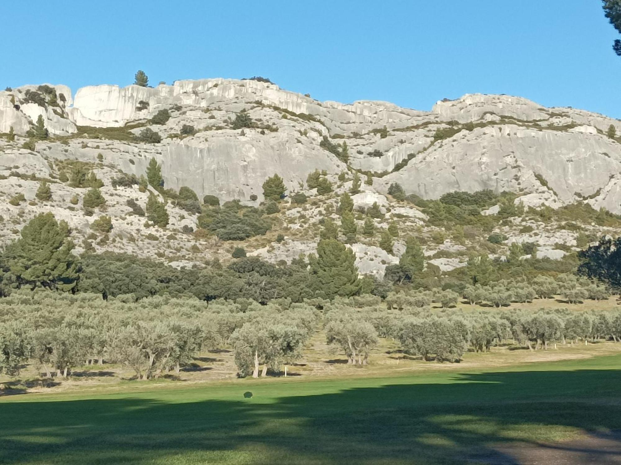 Chambre D'Hote Au Coeur Des Alpilles Муриес Екстериор снимка